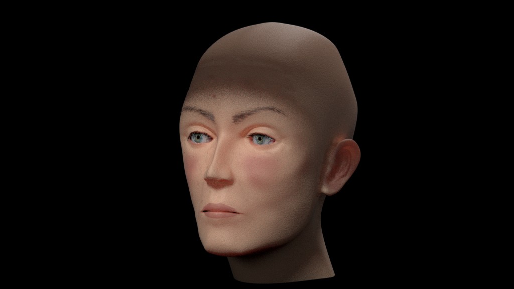 Realistic Woman Head preview image 2